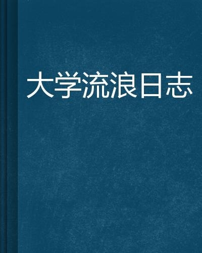 流浪日记，生活变迁与心灵觉醒的实录