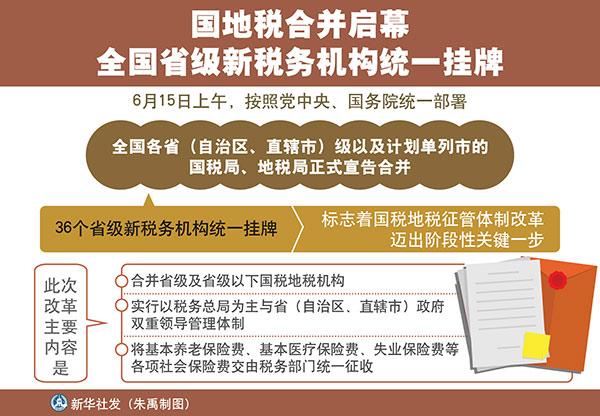 最新税务政策与实践，影响与应对策略探讨