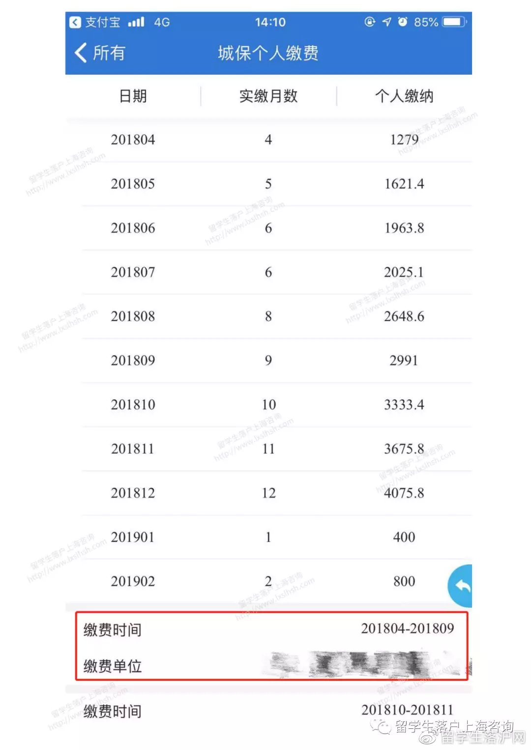 最新社保查询，便捷高效透明的社会保障管理新方式