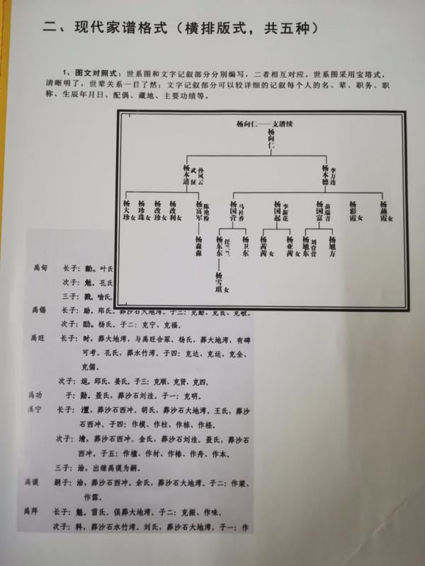 最新族谱格式