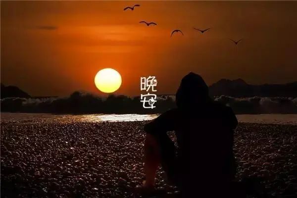 最新晚安短语，夜的温馨问候与美好祝愿集萃