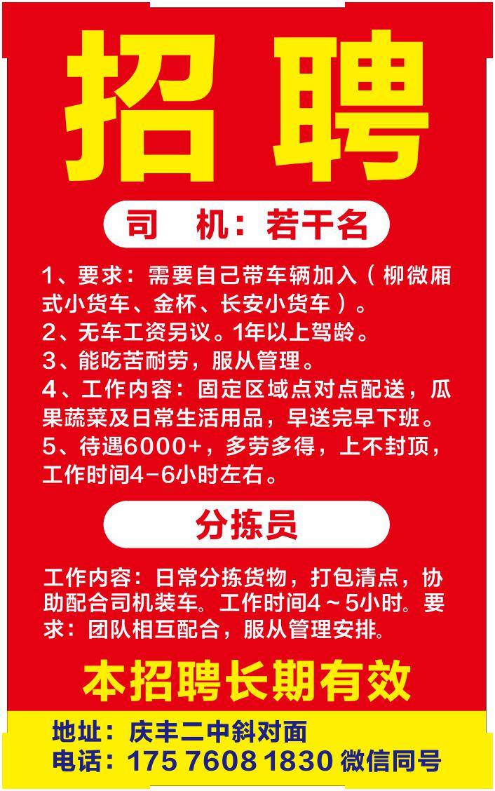 中堂司机招聘最新动态，共创美好未来，把握职业机遇