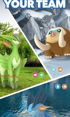 Pokemonmemhack最新版，神奇宝贝世界的全新探险体验