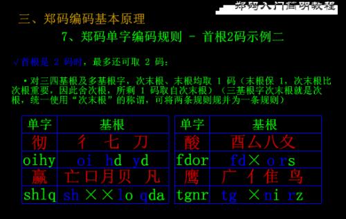 郑码最新探索，数字世界的新篇章