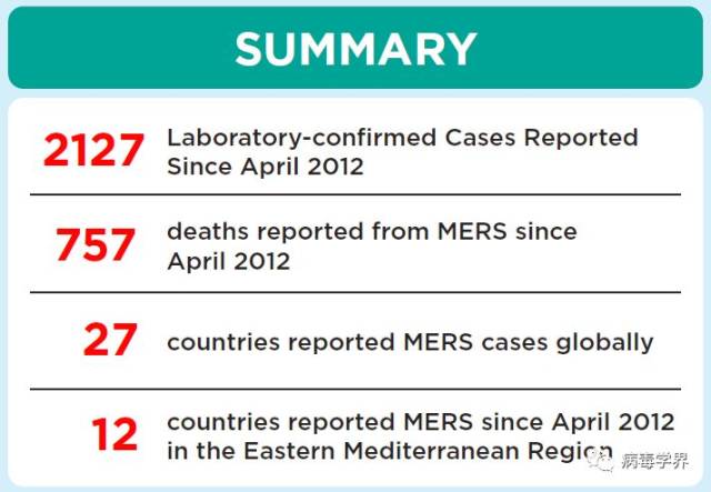 MERS最新动态及其影响研究概述