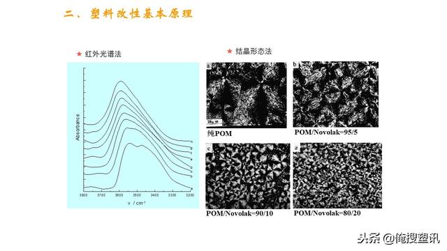 探索ppypp最新魅力与应用前景展望