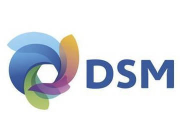 DSM最新发展与应用，前沿科技新领域探索