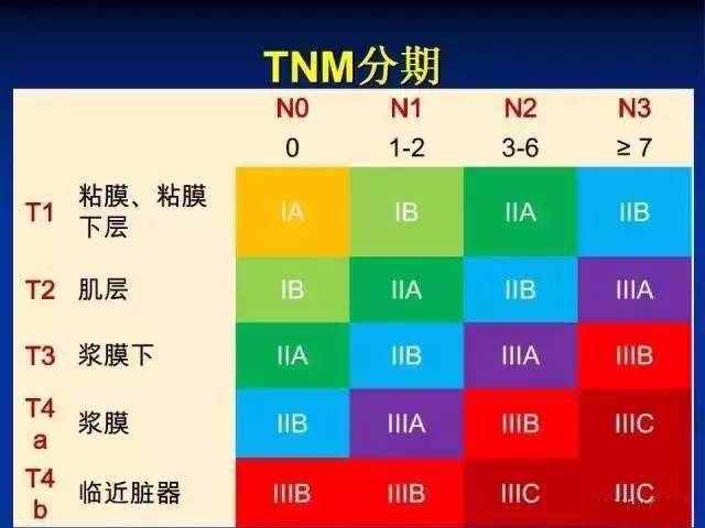 TNM技术最新进展及未来应用领域展望