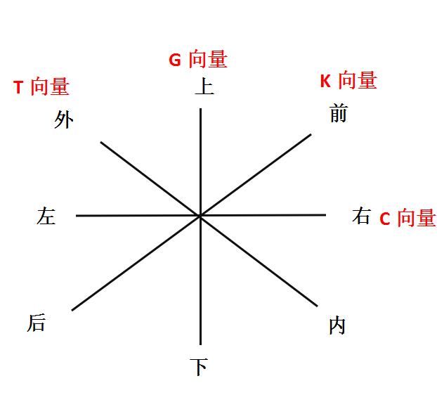 前沿科技融合，探索社会发展新向度之路