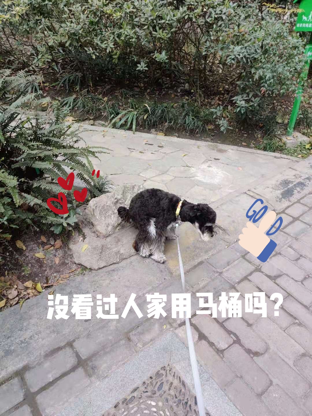 7777788888精准跑狗图,猫咪拉屎水_简易版v9.2.219