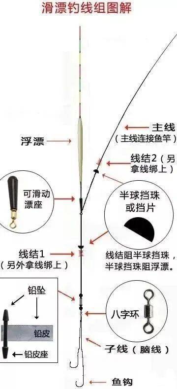 2024新奥天天免费资料53期,路亚钓法入门教程图片_起步版8.144