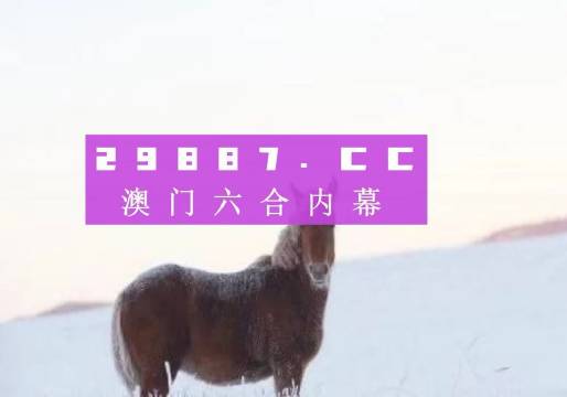 澳门一肖一码一特一中247,快速响应设计解析_钱包版62.558