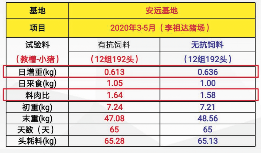 香港二四六开奖免费,实地计划设计验证_完整版80.77