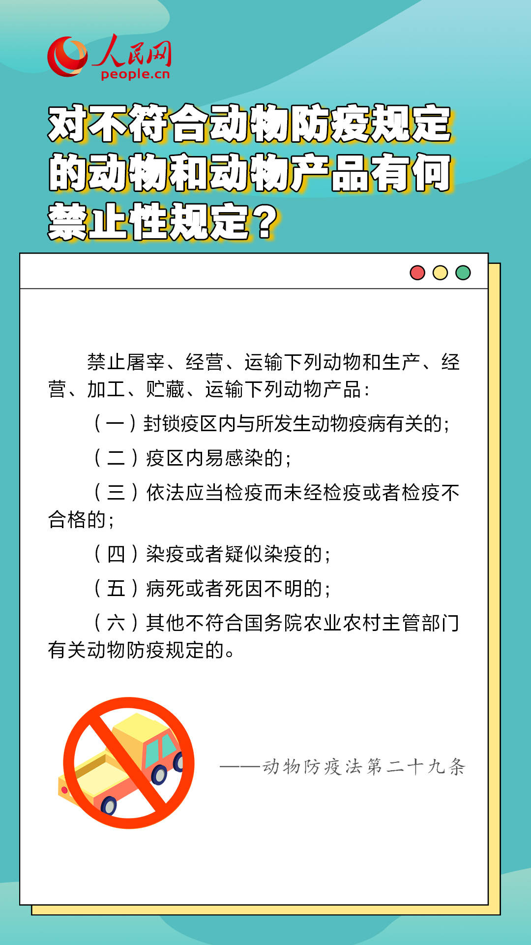 4492.COM二肖四码,广泛的关注解释落实热议_安卓版75.468