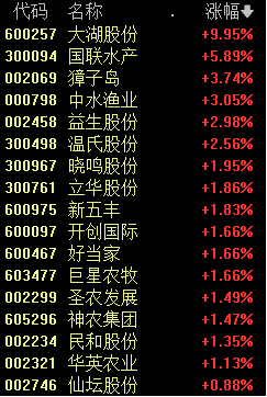 最准一码一肖100%凤凰网,正确解答落实_pack52.492