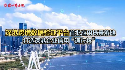 新澳天天开奖资料大全262期,实地应用验证数据_android74.839