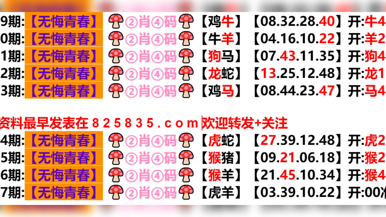 2024新奥历史开奖结果查询澳门六,迅捷解答计划执行_专属款34.523