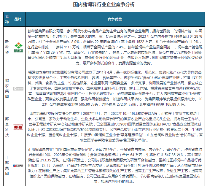 王中王资料大全料大全1,实地数据验证设计_领航款19.944