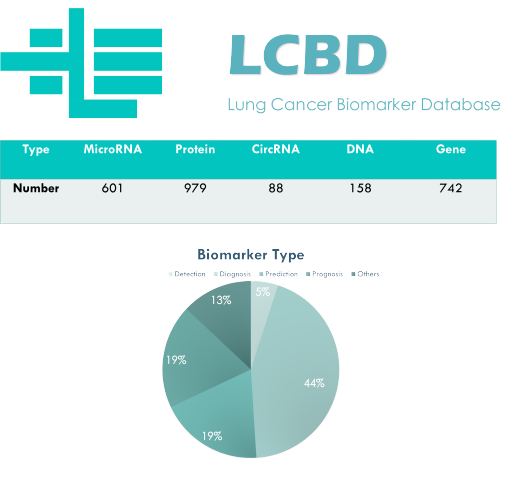 LCDD技术革新显示领域，开启新里程碑时代